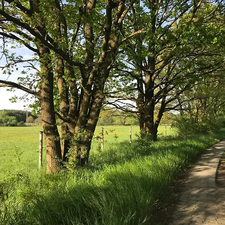 Séjour à la campagne - *