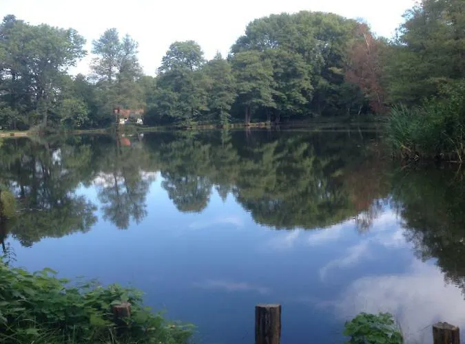 منزل ريفي - *